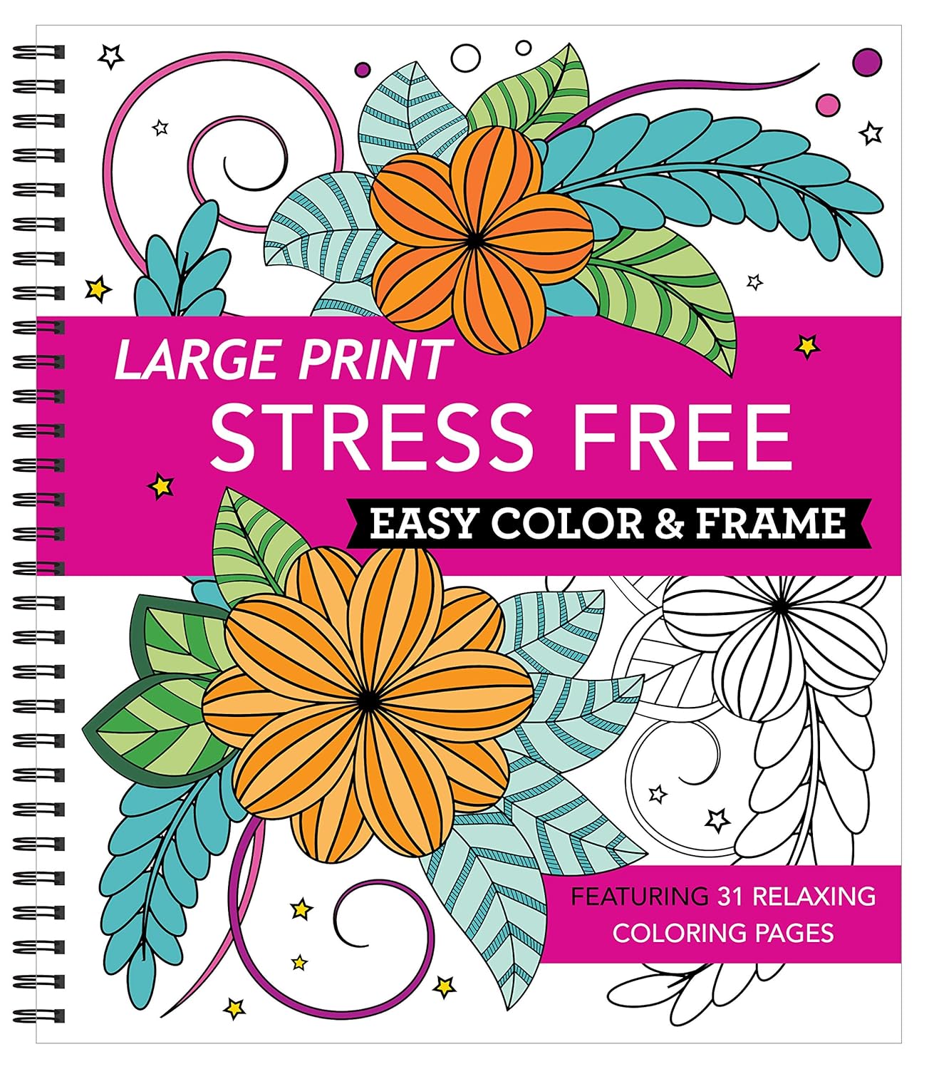 Large Print Stress Free Easy Color & Frame